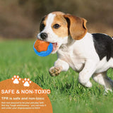 Dog Squeaky Toys Pool Toys Floating Toys For Interactive